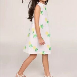Janie and Jack Embroidered Pineapple Dress Size 7
New